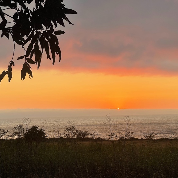 Meet your Posher, Sarah - Picture 1 of 1